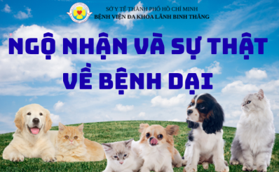 (HCDC) -Infographic: Ngộ nhận và sự thật về bệnh dại